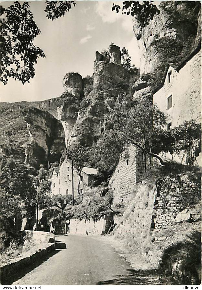 48 - Les Gorges Du Tarn - Rochers à Pougnadoires - Mention Photographie Véritable - Carte Dentelée - CPSM Grand Format - - Gorges Du Tarn