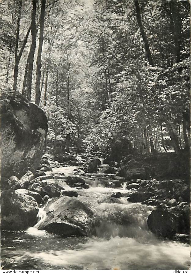 20 - Vizzavona - Le Fulminato En Forêt De Vizzavona - Mention Photographie Véritable - Carte Dentelée - CPSM Grand Forma - Otros & Sin Clasificación