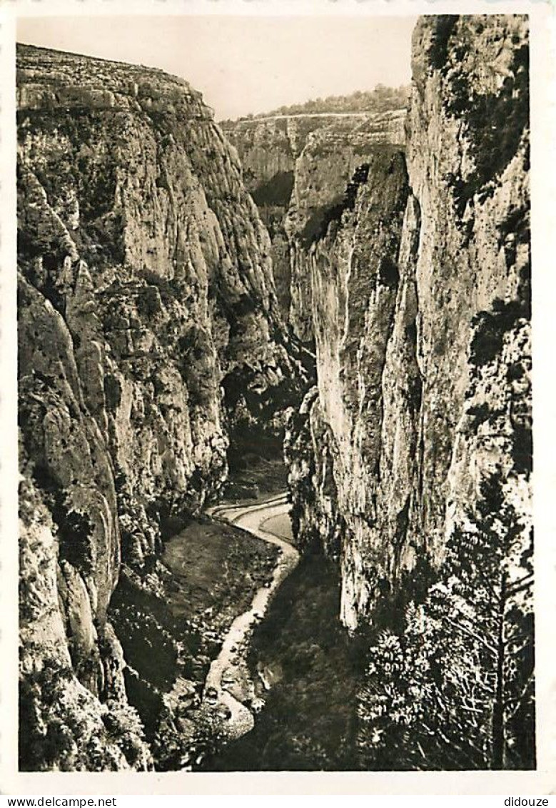 04 - Alpes De Haute Provence - Gorges Du Verdon - Le Grand Canon Du Verdon - Par Les Sentiers Et Par Le Fond - Les Falai - Autres & Non Classés