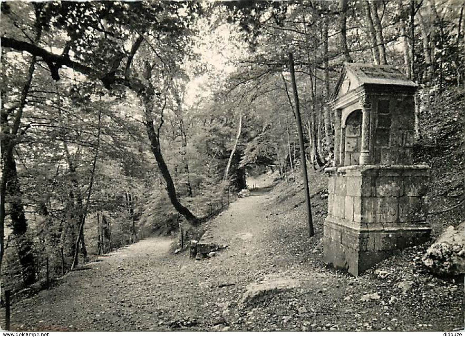 83 - La Sainte Baume - Forèt Domaniale - Montée Vers Le Saint-Pilon - Mention Photographie Véritable - CPSM Grand Format - Saint-Maximin-la-Sainte-Baume