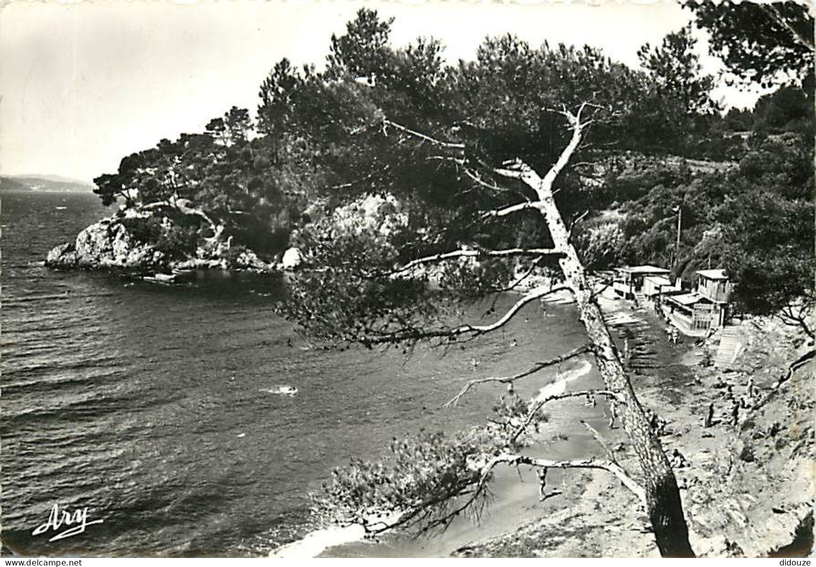 83 - Le Pradet - Plage Des Bonnettes - Animée - Scènes De Plage - CPSM Grand Format - Voir Scans Recto-Verso - Le Pradet