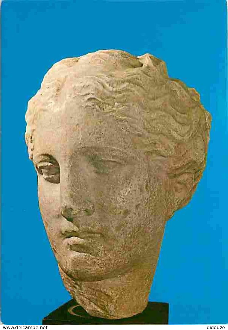 Art - Antiquités - Grèce - Museum Tegea - Head Of Health Of Tegea - CPM - Voir Scans Recto-Verso - Antike