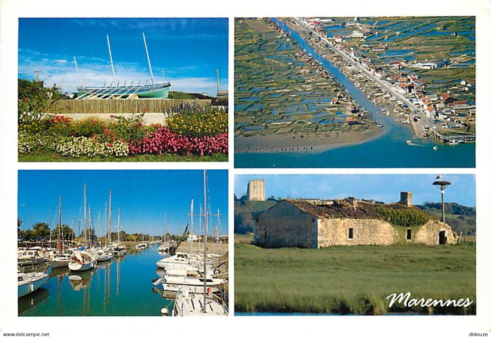 17 - Marennes - Multivues - CPM - Voir Scans Recto-Verso - Marennes