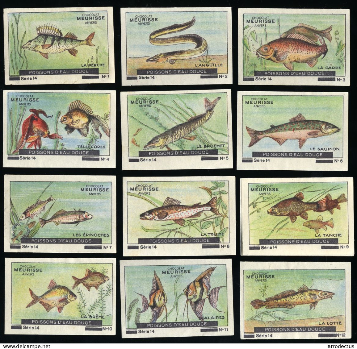 Meurisse - Ca 1930 - 14 - Les Poissons D'eau Douce, Freshwater Fish - Full Serie - Other & Unclassified