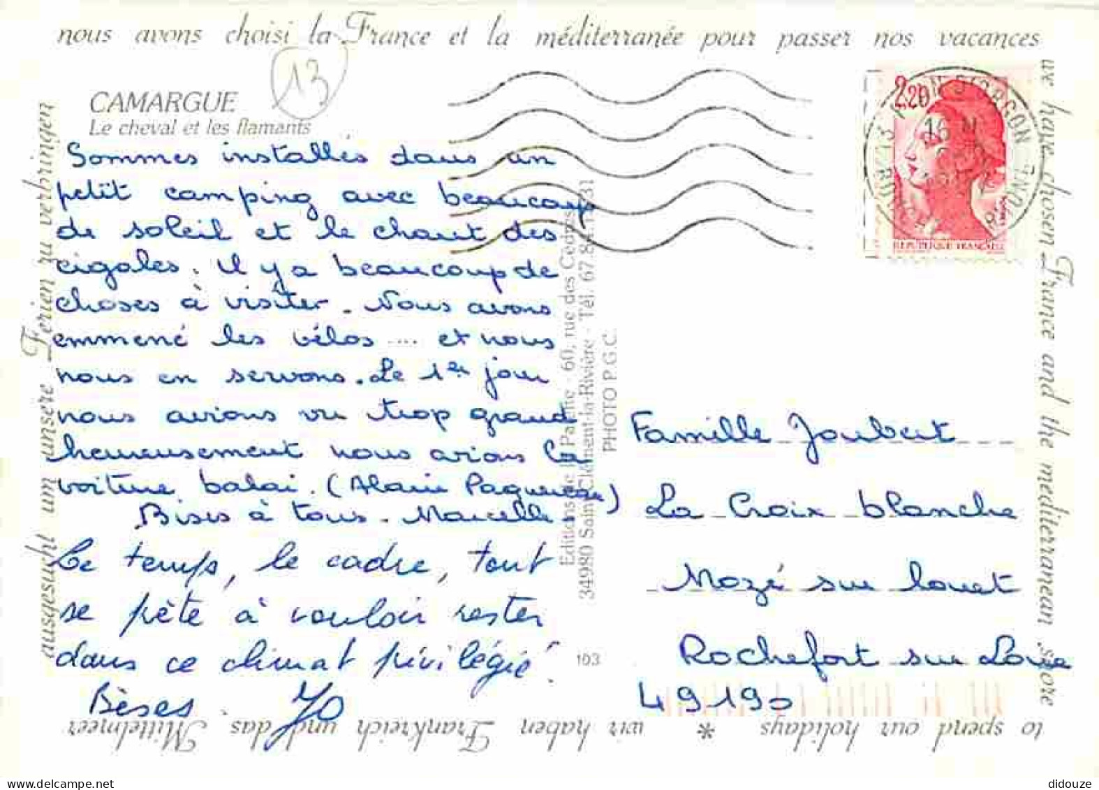 Animaux - Chevaux - Camargue - Multivues - Flamants - CPM - Voir Scans Recto-Verso - Caballos