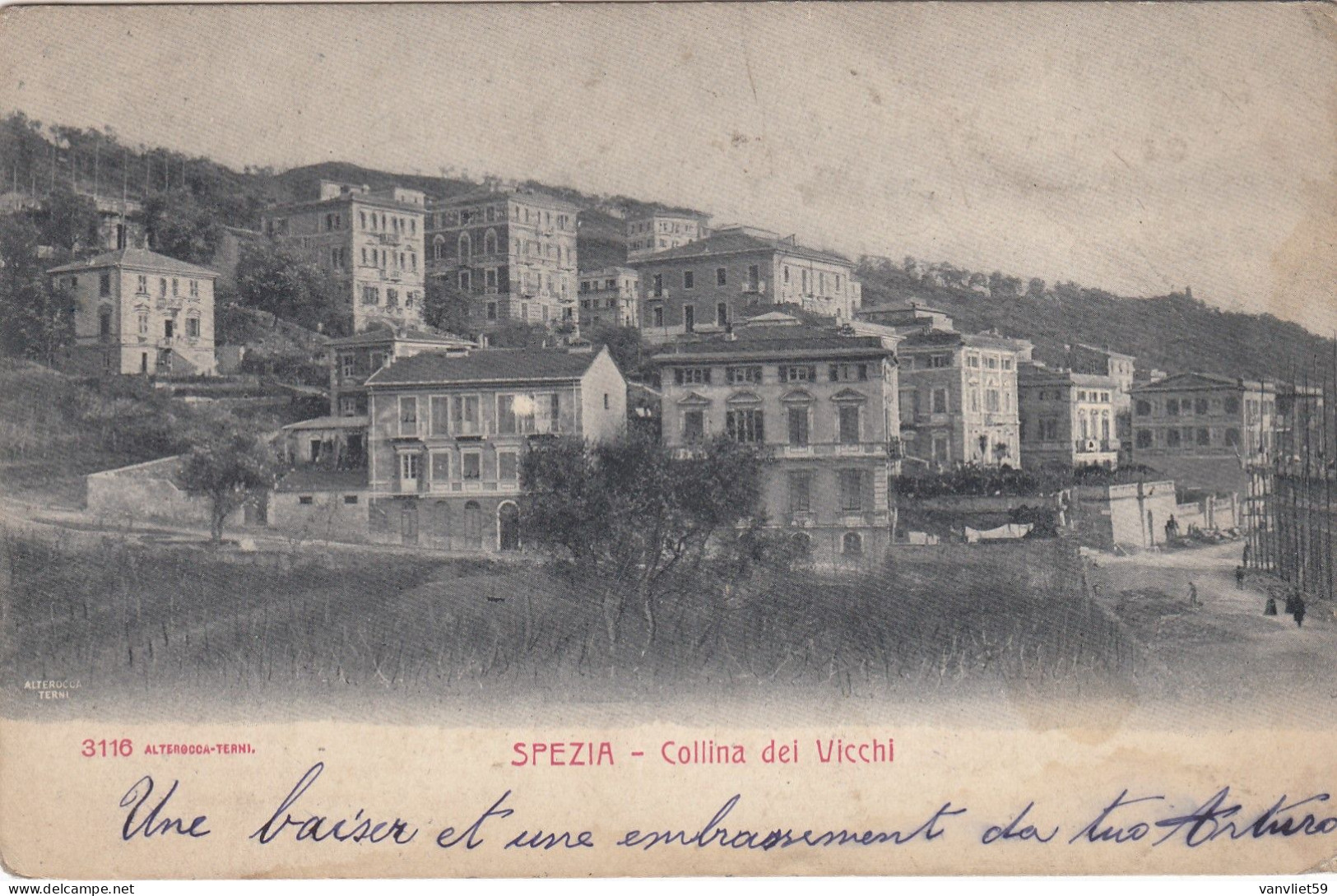 LA SPEZIA-COLLINA DEI VICCHI-CARTOLINA  VIAGGIATA IL 13-8-1904-RETRO INDIVISO - La Spezia