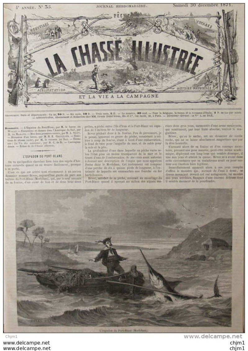 L'espadon Du Port-Blanc (Morbihan) - Page Original 1871 - Historische Dokumente