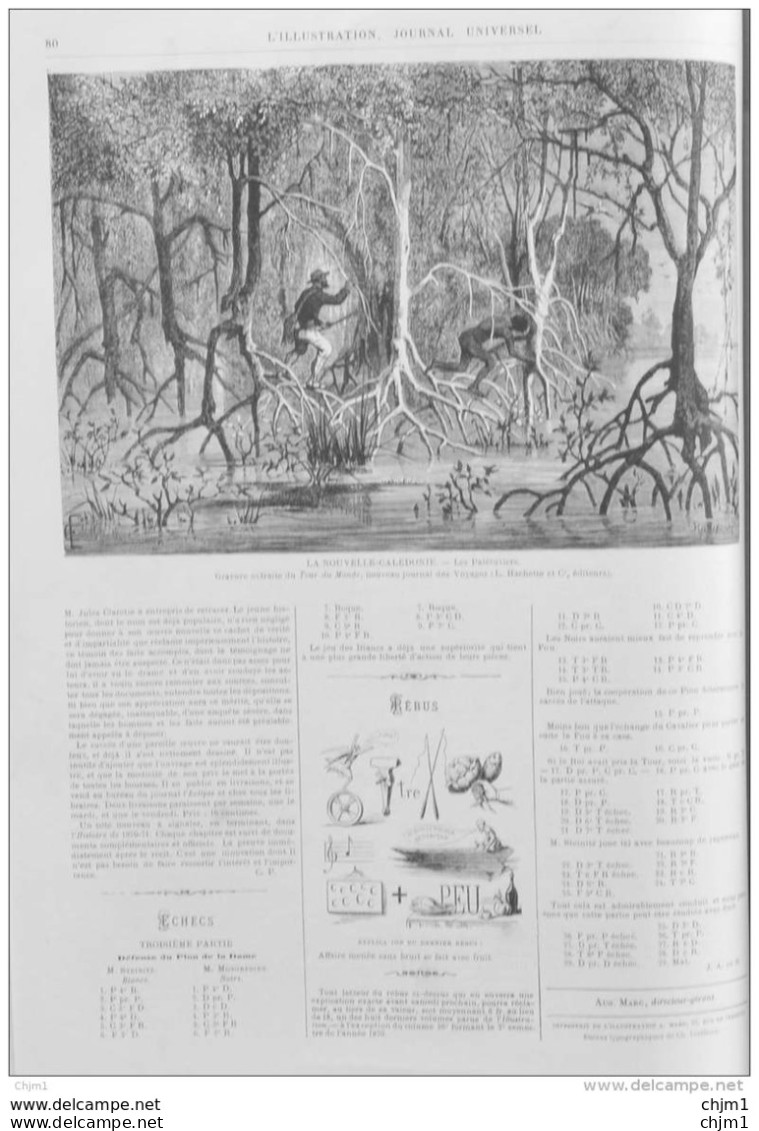 La Nouvelle-Calédonie - Les Palétuviers - Neukaledonien - Page Original 1871 - Historische Dokumente