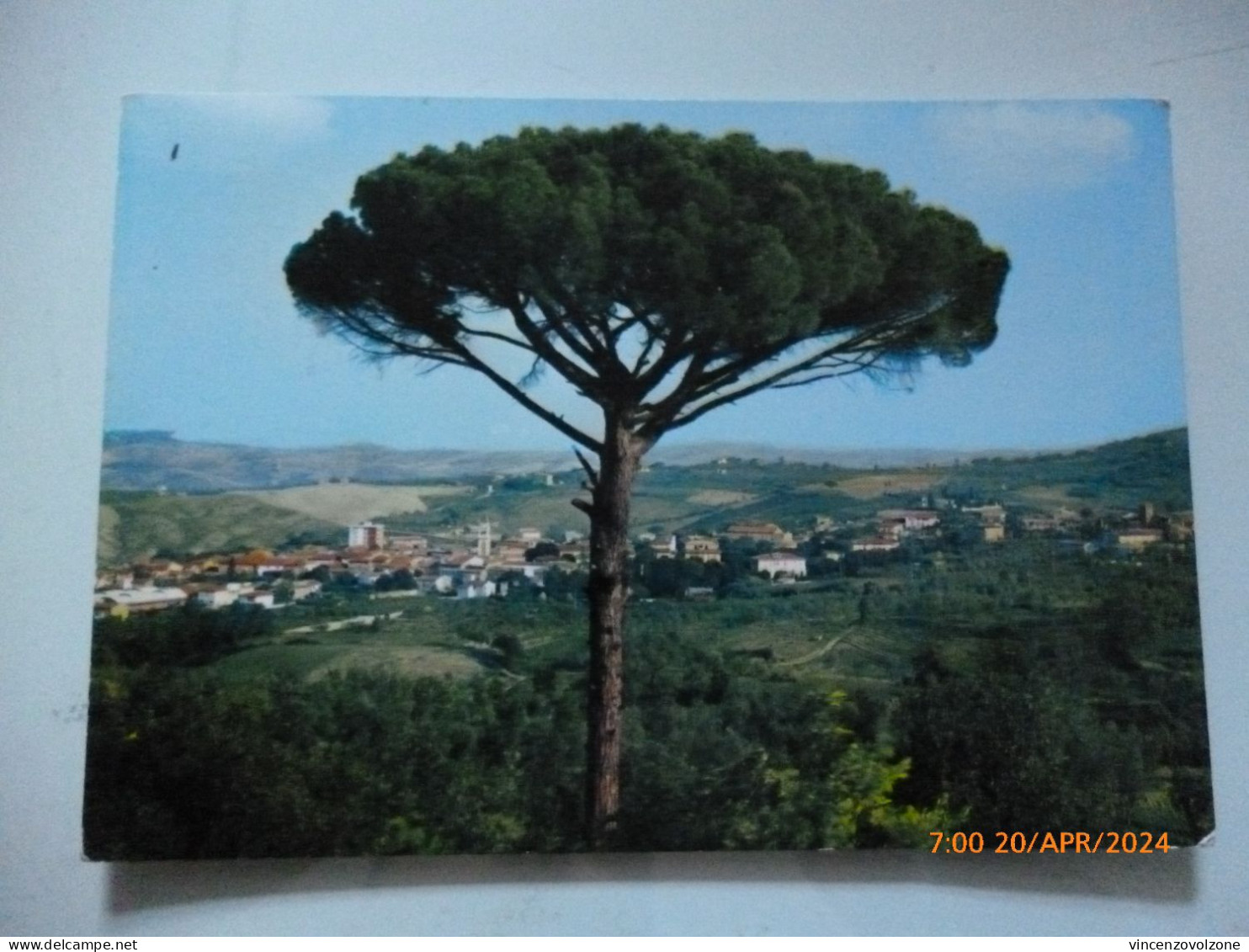 Cartolina  Viaggiata "CASCIANA TERME Panorama" 1976 - Pisa