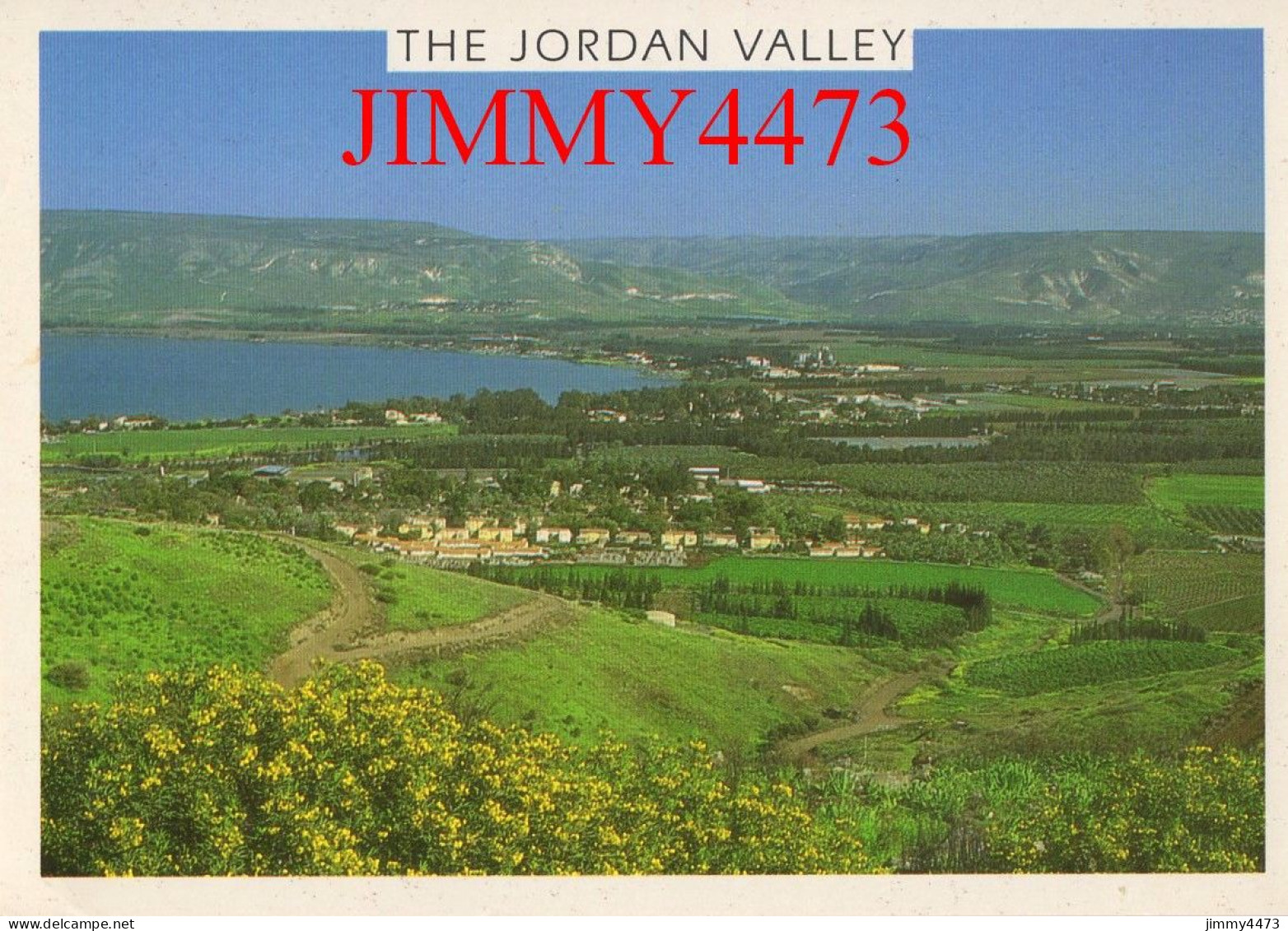 CPM - THE JORDAN VALLEY ( JORDANIE ) Kinnarot Valley The Sea Of Galilee And Mountains Of Golan - Prodiced By Palphot Ltd - Jordan