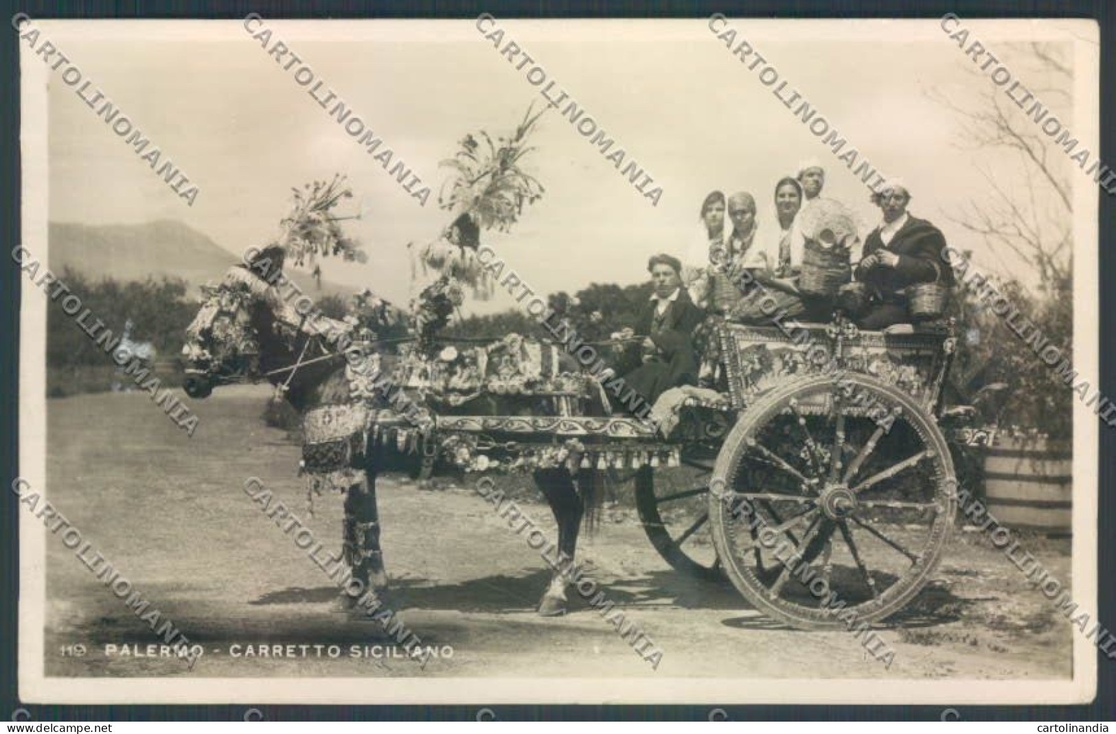 Palermo Carretto Siciliano Asino Foto Cartolina ZT8441 - Palermo