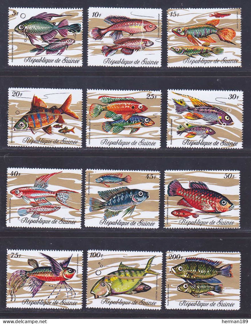 GUINEE N°  428 à 439 ** MNH Neufs Sans Charnière, TB (D7789) Poissons - 1971 - República De Guinea (1958-...)