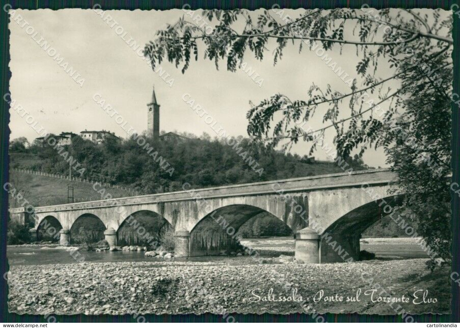 Biella Salussola Foto FG Cartolina KB4035 - Biella