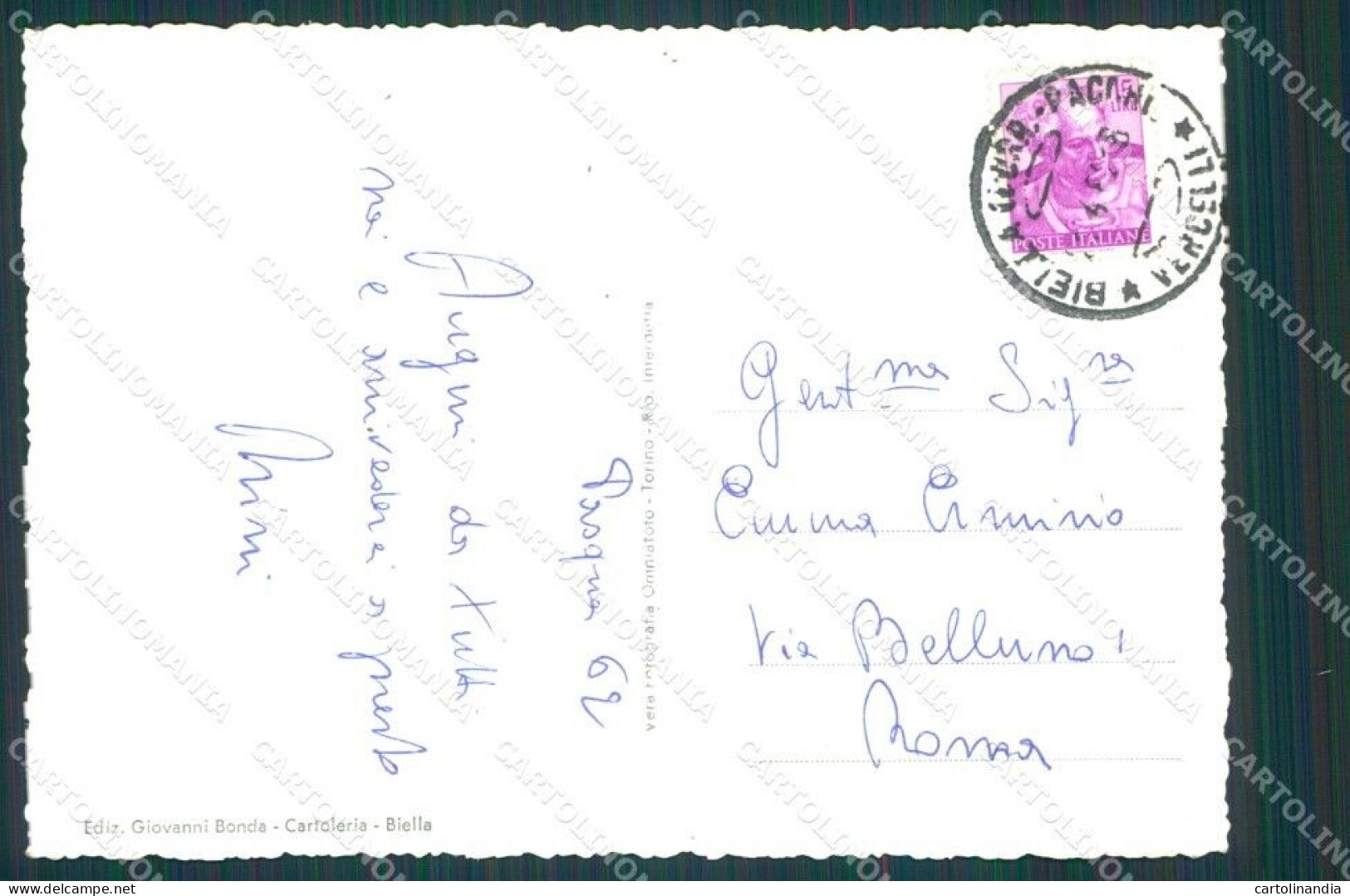 Biella Salussola Foto FG Cartolina KB4035 - Biella