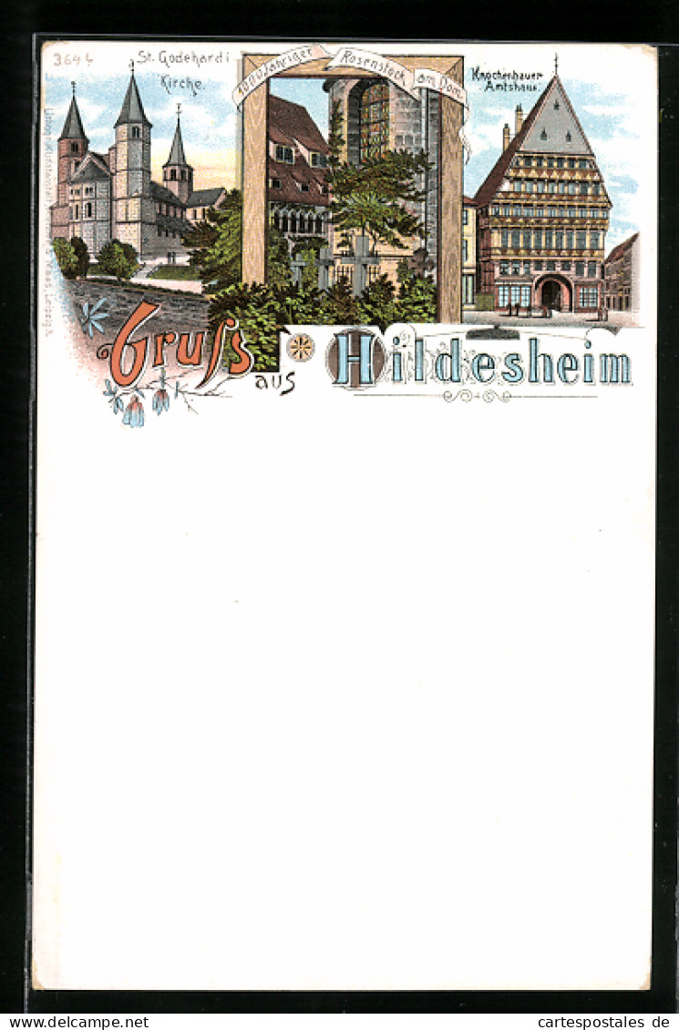 Lithographie Hildesheim, Knochenhauer Amtshaus, St. Godehardi-Kirche, 1000 Jähriger Rosenstock Am Dom  - Hildesheim
