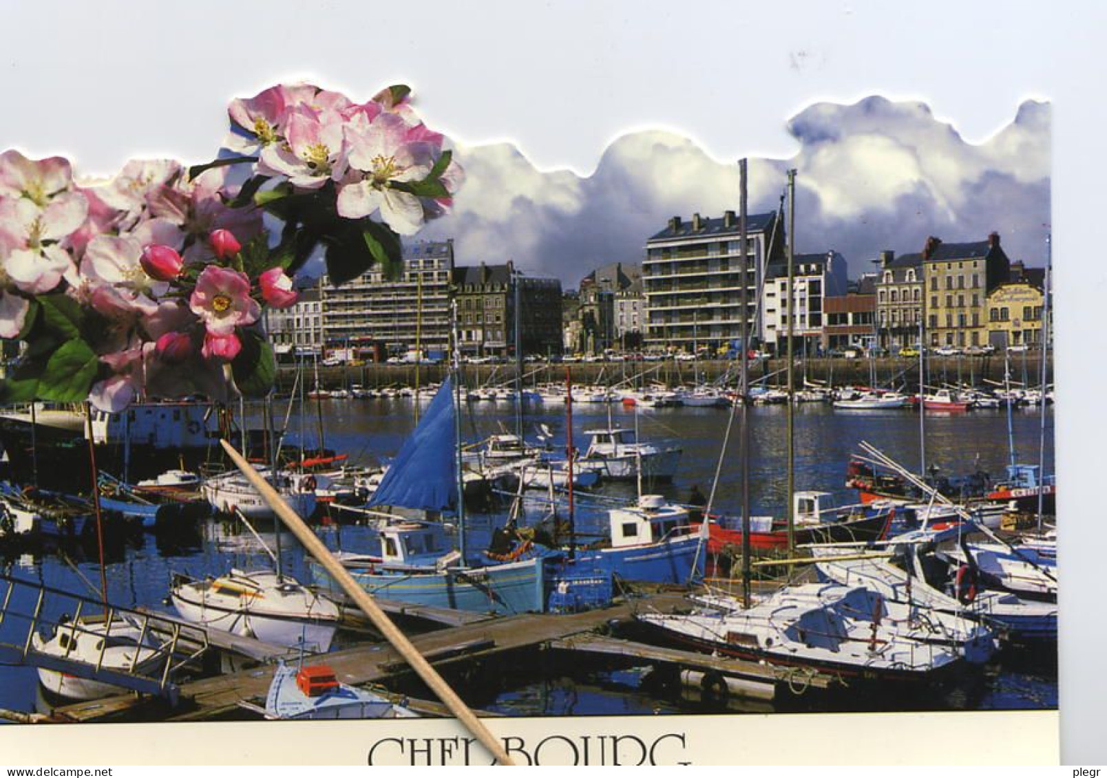 0-50129 02+14 - CHERBOURG - LOT DE 5 CARTES - Cherbourg