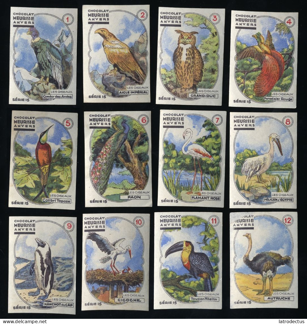 Meurisse - Ca 1930 - 15 - Les Oiseaux, Birds - Full Serie - Other & Unclassified