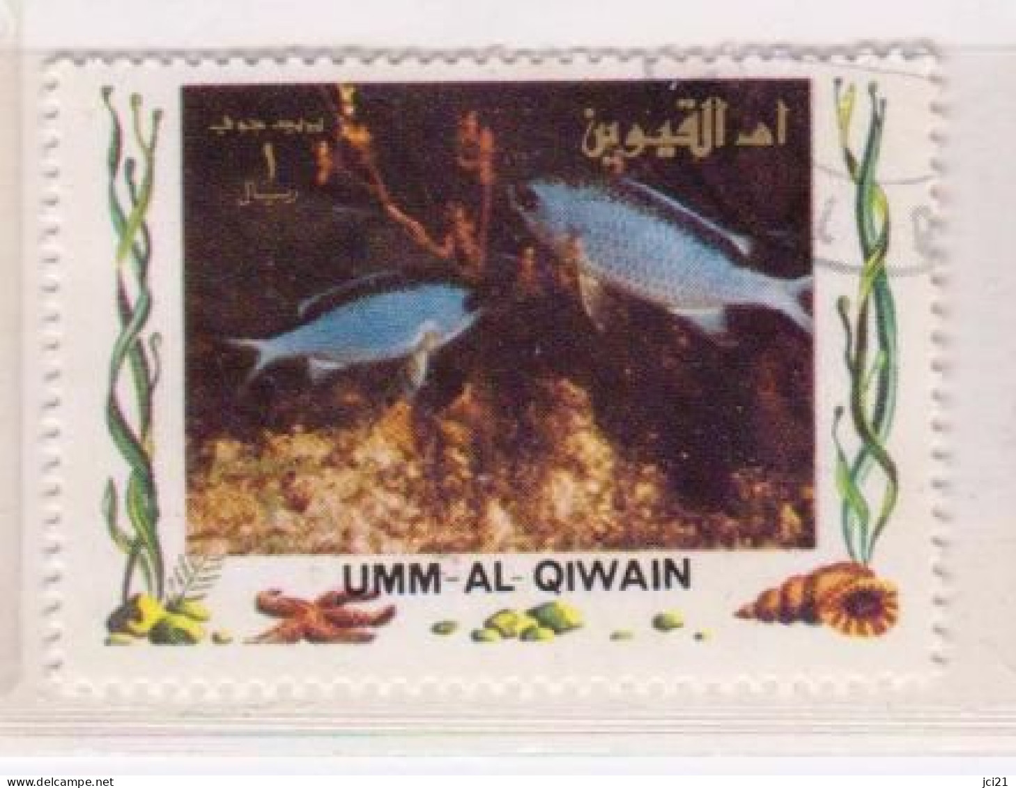 UMM AL QIWAIN - POISSONS (1389)_Ti408 - Umm Al-Qiwain