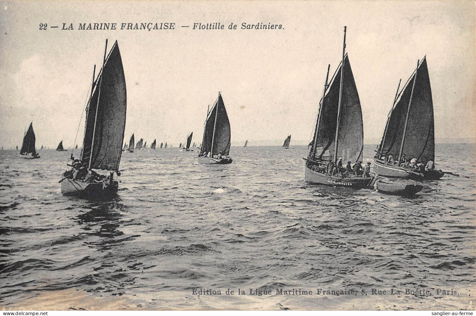 CPA METIER DE LA PECHE / LA MARINE FRANCAISE / FLOTILLE DE SARDINIERS / Cliché Rare - Pêche