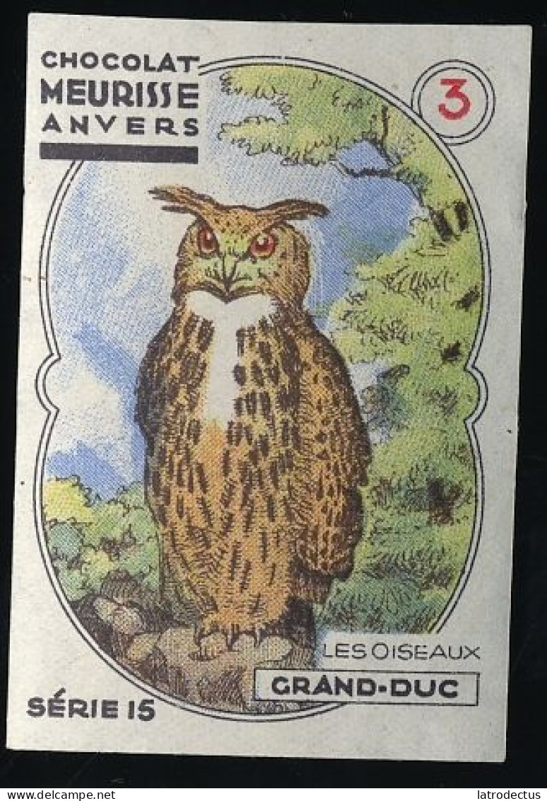 Meurisse - Ca 1930 - 15 - Les Oiseaux, Birds - 3 - Hibou Grand-Duc, Eagle-owl, Bubo Bubo - Otros & Sin Clasificación