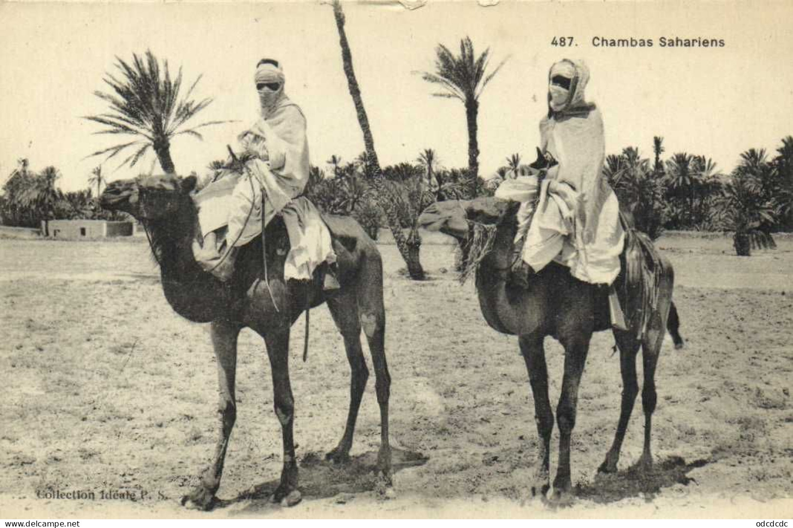 Chambas Sahariens RV - Hombres