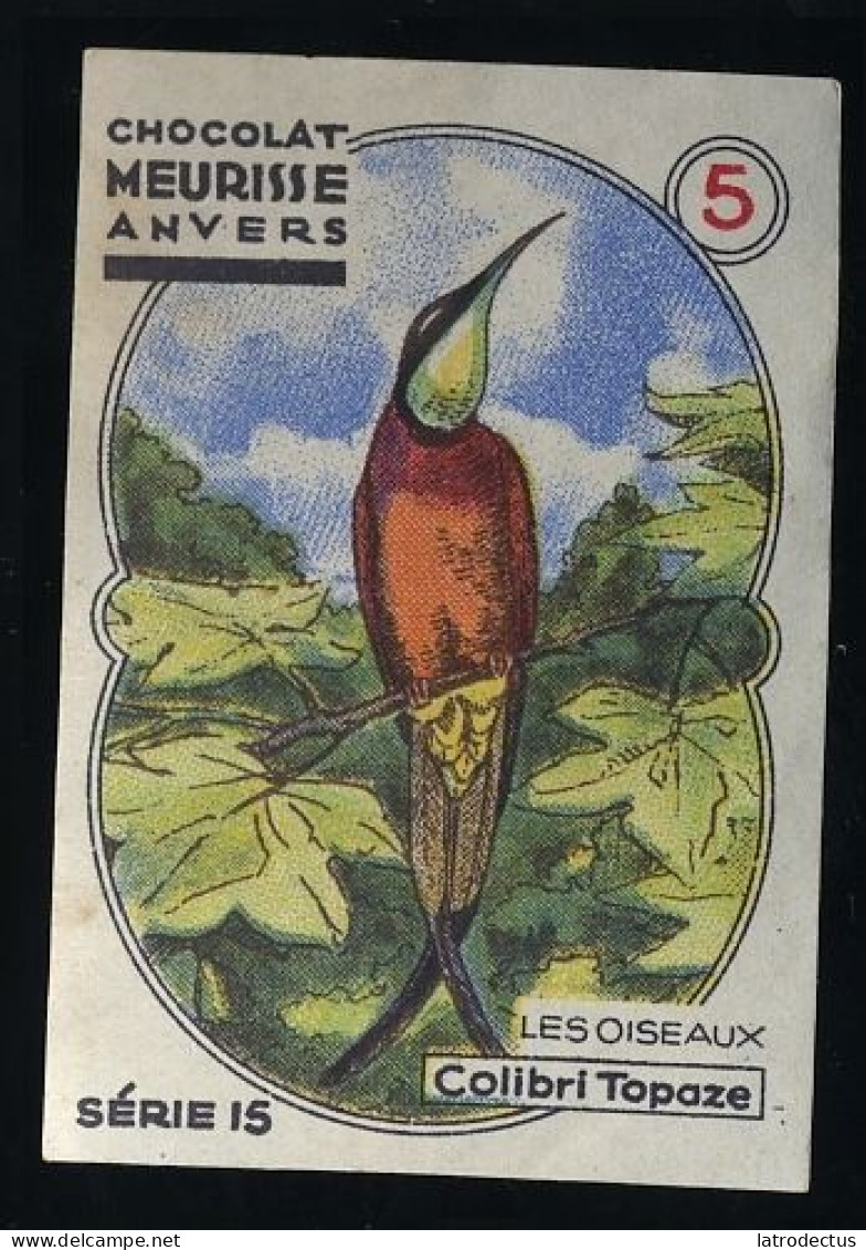 Meurisse - Ca 1930 - 15 - Les Oiseaux, Birds - 5 - Colibri Topaze, Crimson Topaz - Other & Unclassified