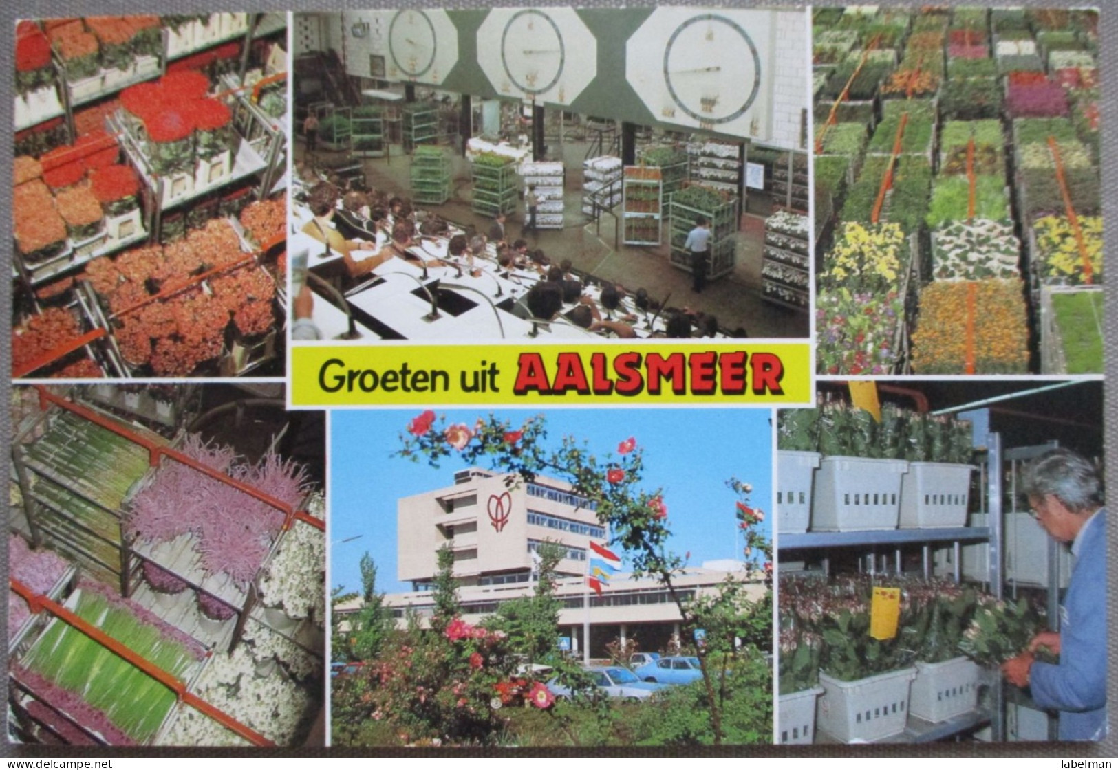 HOLLAND NETHERLAND AALMEER WORLD FLOWER CENTER MARKT CITY POSTCARD CARTOLINA ANSICHTSKARTE CARTE POSTALE POSTKARTE CARD - Aalsmeer