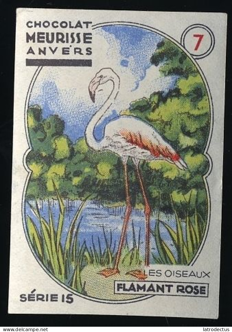 Meurisse - Ca 1930 - 15 - Les Oiseaux, Birds - 7 - Flamant Rose, Flamingo - Other & Unclassified