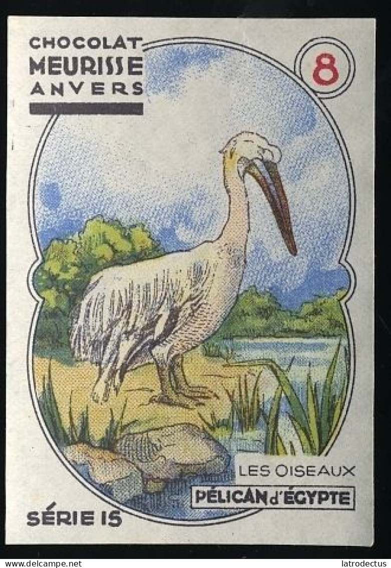 Meurisse - Ca 1930 - 15 - Les Oiseaux, Birds - 8 - Pelican - Other & Unclassified