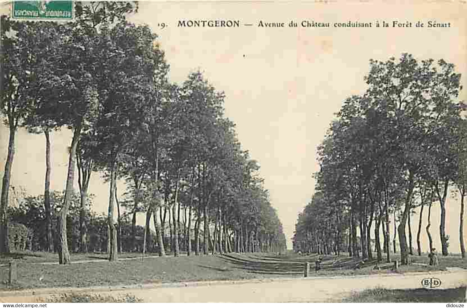 91 - Montgeron - Avenue Du Château Conduisant à La Foret De Sénart - CPA - Voir Scans Recto-Verso - Montgeron