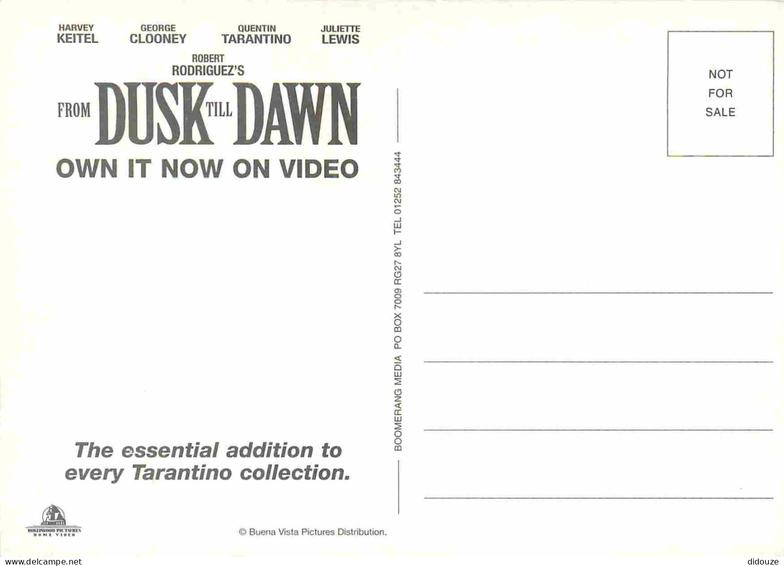 Cinema - Affiche De Film - From Dusk Till Dawn - Georges Clooney - CPM - Carte Neuve - Voir Scans Recto-Verso - Affiches Sur Carte