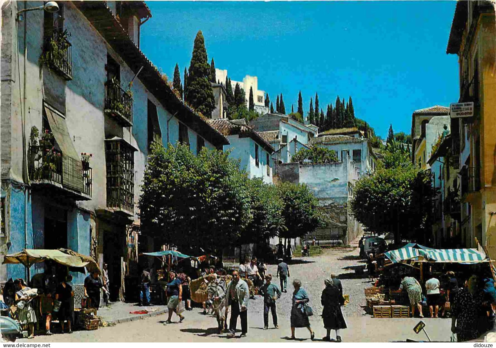 Espagne - Espana - Andalucia - Granada - Calle Tipica - Rue Tipique - Marché - Espana - CPM - Voir Scans Recto-Verso - Granada