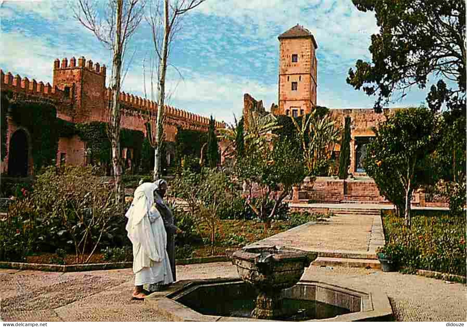 Maroc - Rabat - Le Jardin Des Oudaïas - Carte Neuve - CPM - Voir Scans Recto-Verso - Rabat