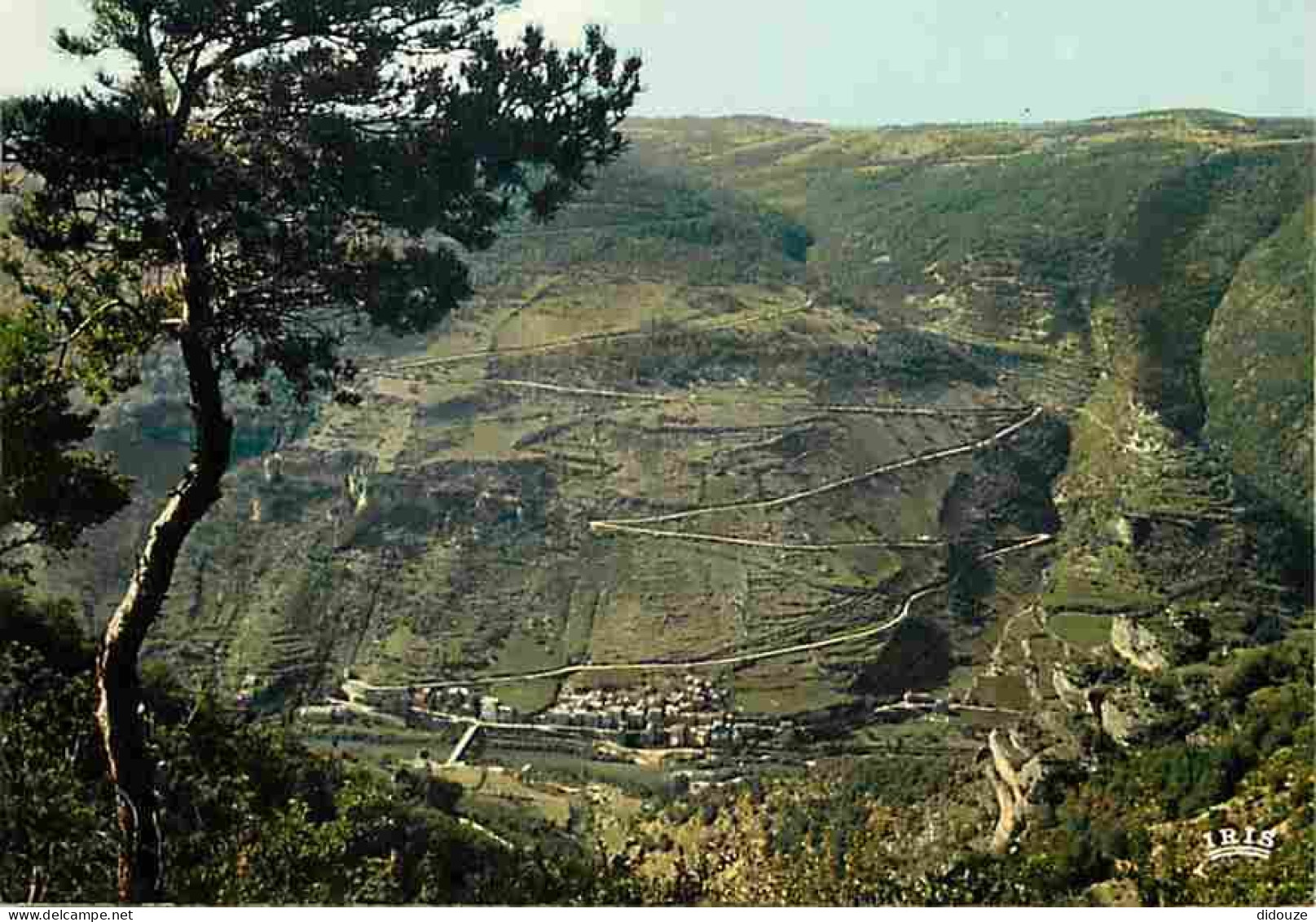 48 - Les Vignes - Les Lacets Sur La Route Du Point Sublime - CPM - Voir Scans Recto-Verso - Autres & Non Classés