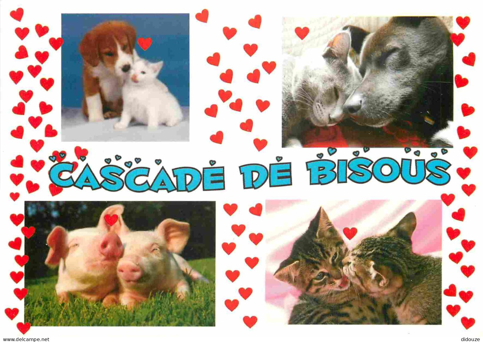 Animaux - Chats - Carte à Message - CPM - Voir Scans Recto-Verso - Cats