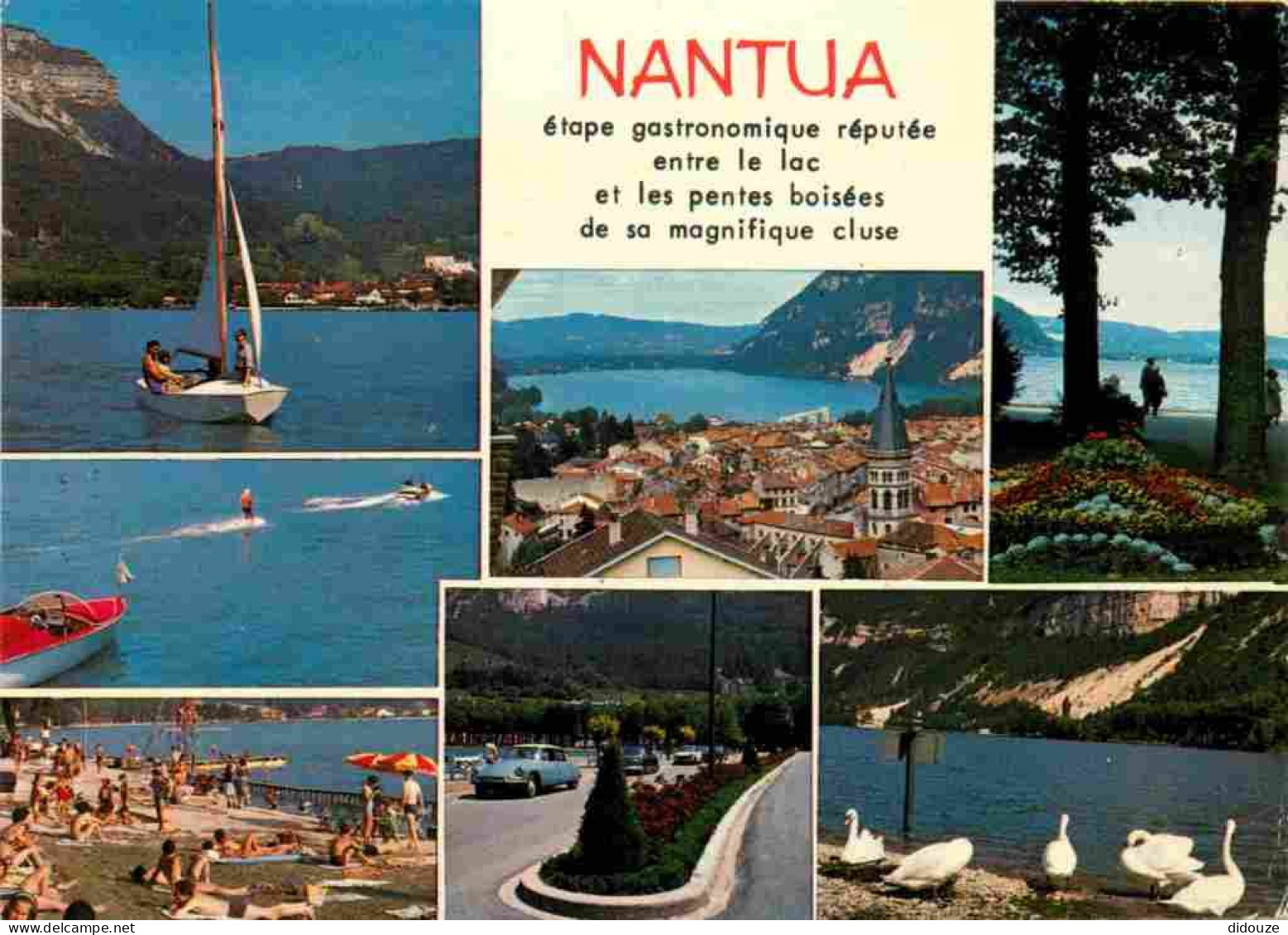 01 - Nantua - Multivues - CPM - Voir Scans Recto-Verso - Nantua