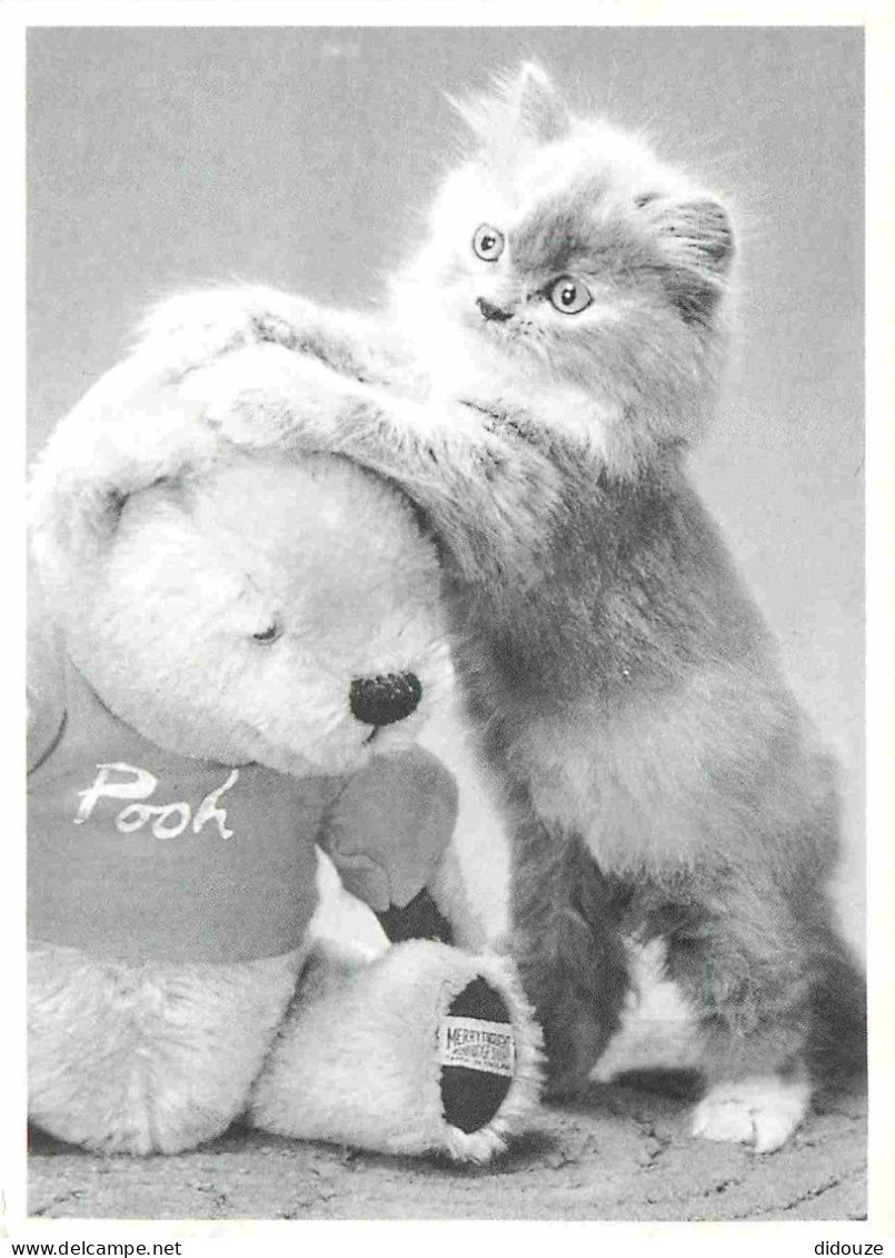 Animaux - Chats - CPM - Voir Scans Recto-Verso - Cats