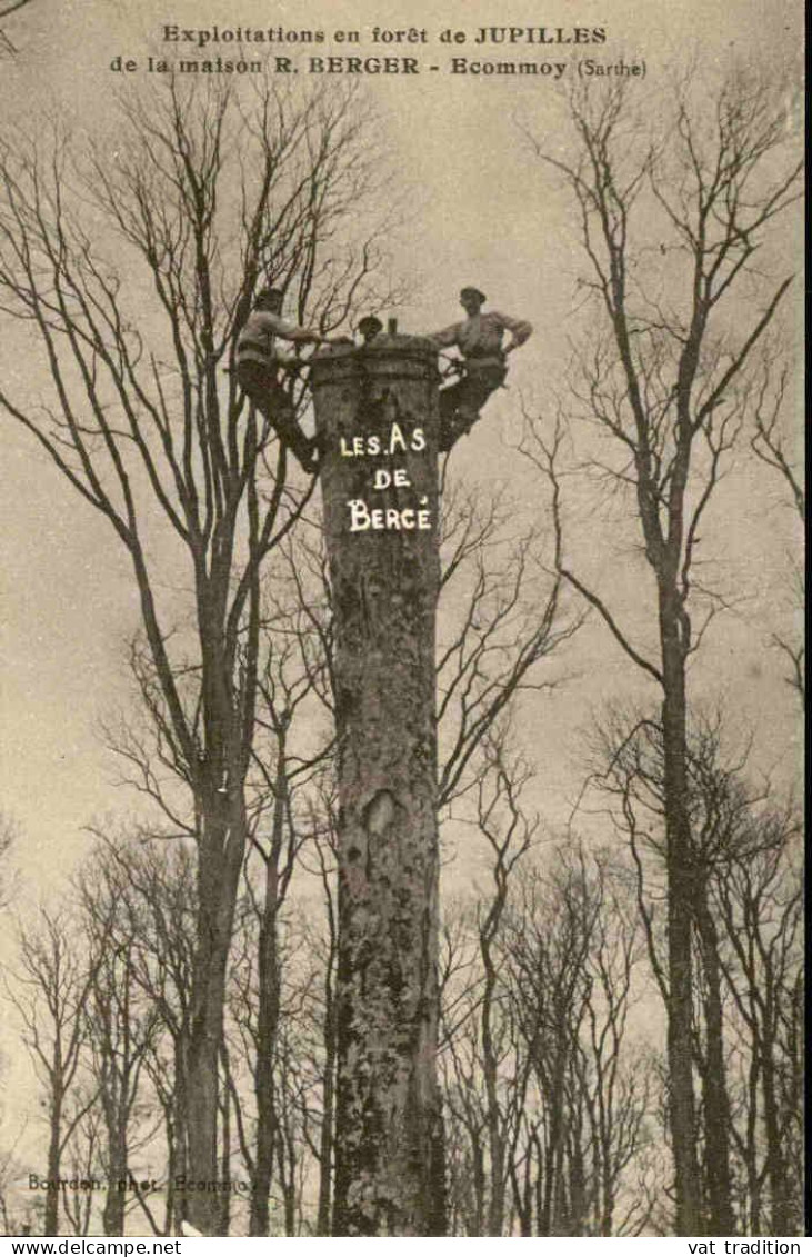 FRANCE - Carte Postale De Ecommoy - Exploitation En Forêt De Jupilles  De La Maison Berger - Bucherons - L 152104 - Ecommoy