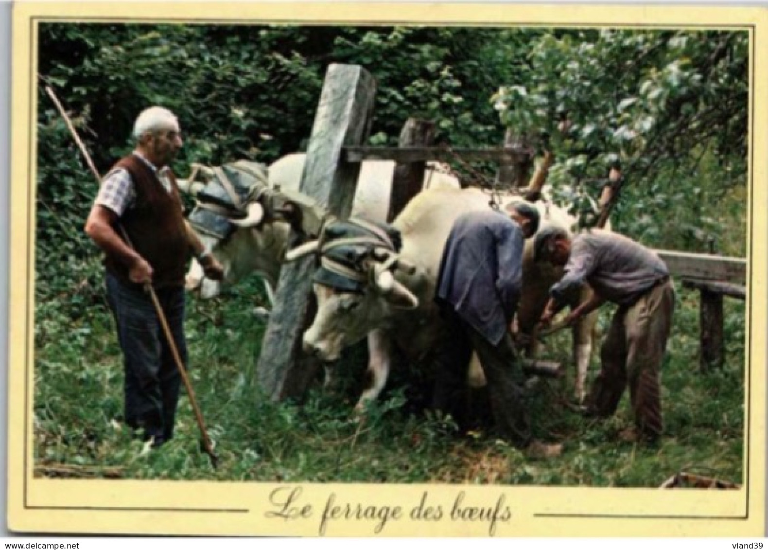 Le Ferrage Des Boeufs   Métiers D'Antan.   Editions Nivernaises. - Landbouwers