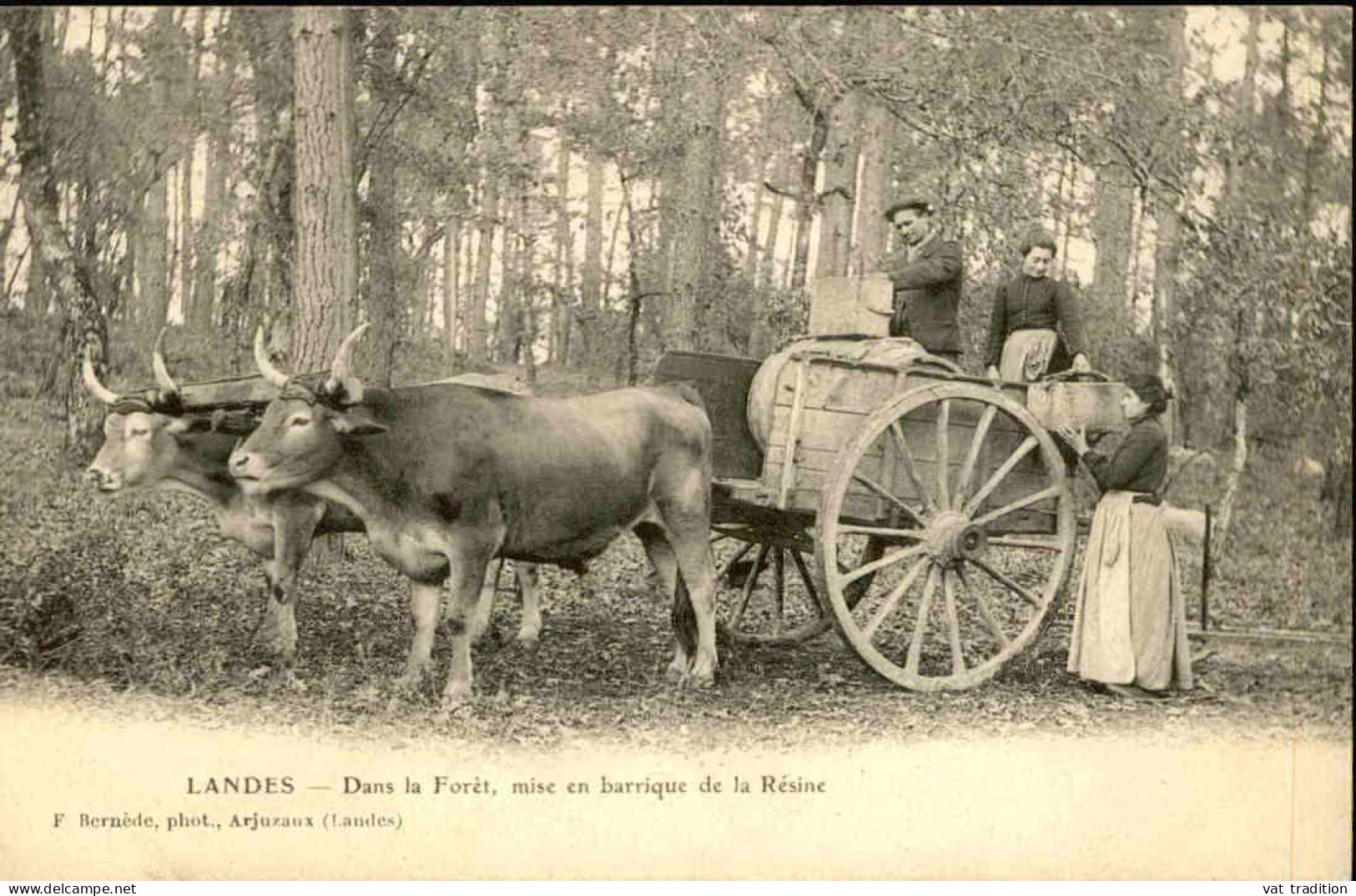METIERS - Carte Postale Des Landes - Dans La Forêt, Mise En Barrique De La Résine - Attelage - L 152107 - Craft