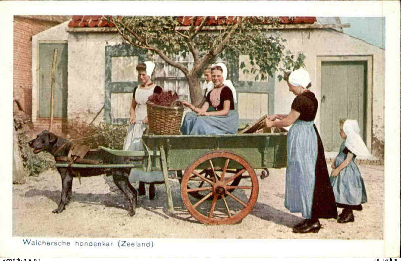 METIERS - Carte Postale D'un Attelage De Chien - Pays-Bas - L 152108 - Sonstige & Ohne Zuordnung