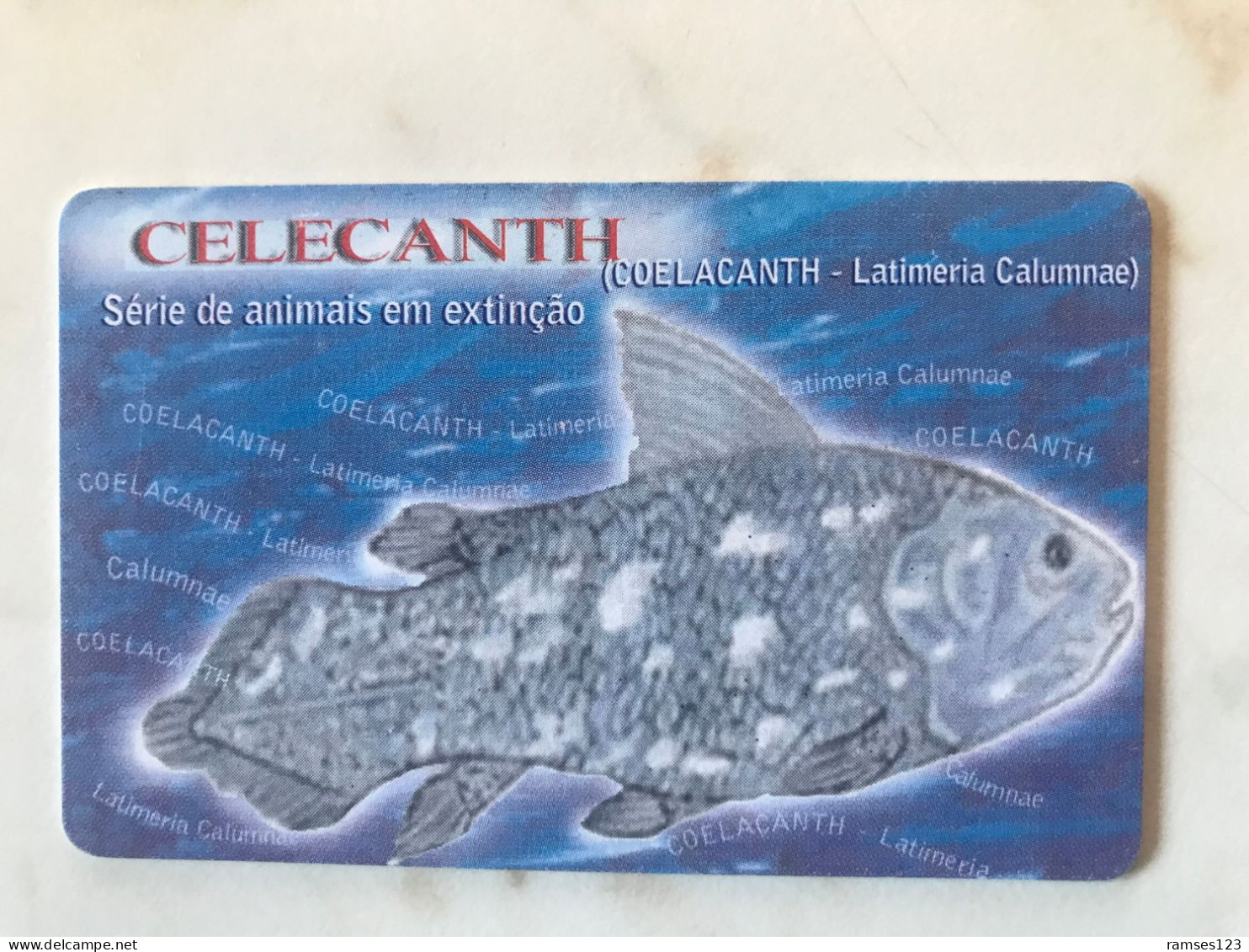 MOZAMBIQUE    CELECATH - Mozambique