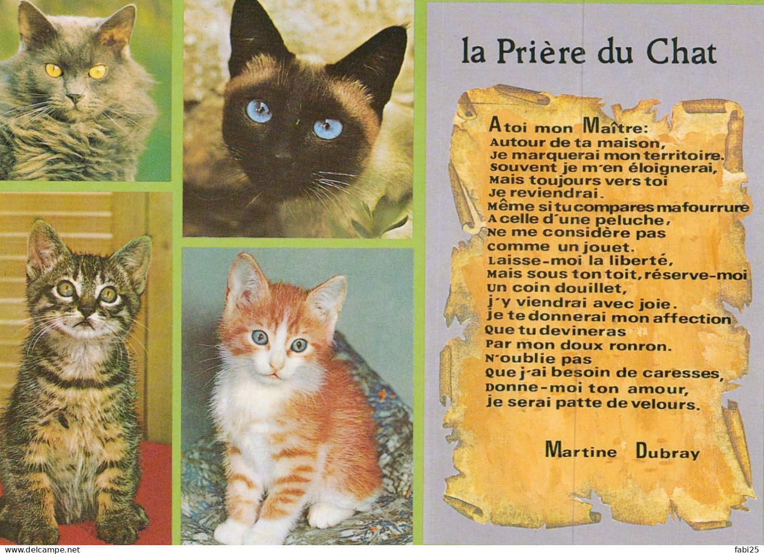 CHATS LOT DE 30 CARTES TOUTES SCANNEES