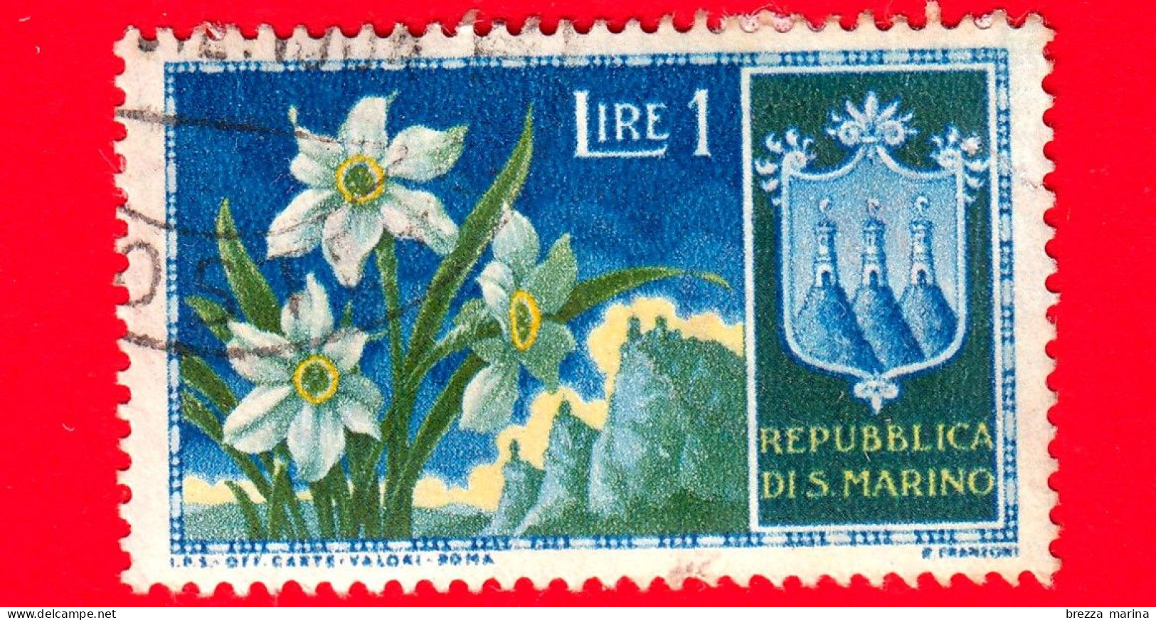 SAN MARINO - Usato - 1953 - Fiori - 1ª Emissione - Narcisi - 1 - Gebraucht