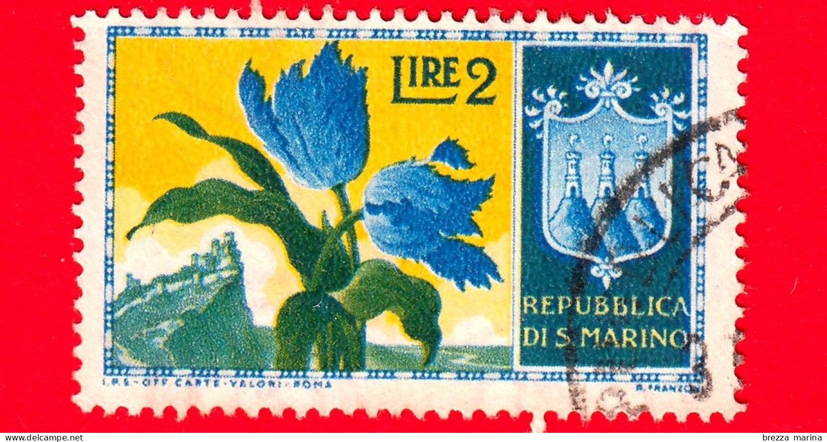 SAN MARINO - Usato - 1953 - Fiori - 1ª Emissione - Tulipani - 2 - Usati