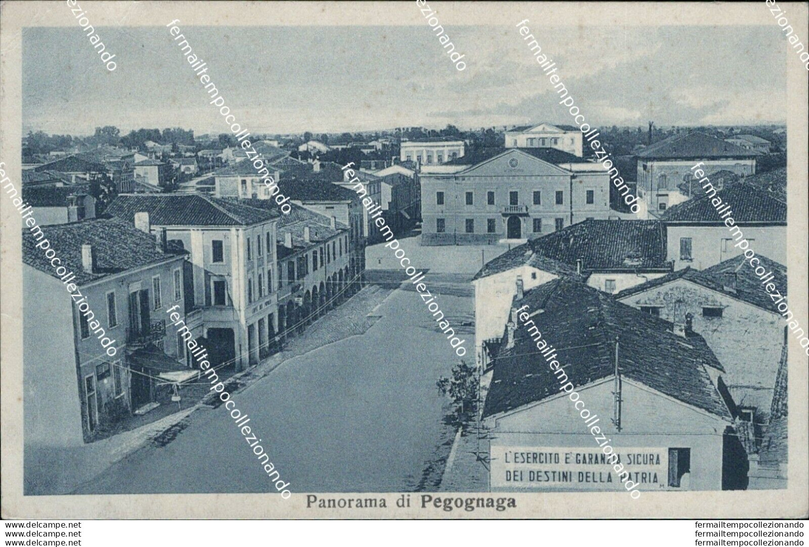 Ba254 Cartolina Panorama Di Pegognaga Mantova Lombardia Bella!! - Mantova