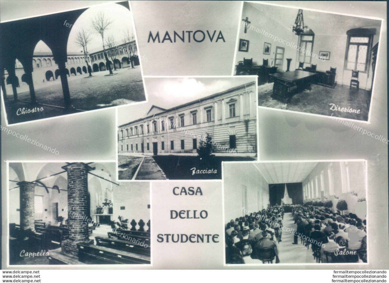 P56 Cartolina Mantova Citta' Casa Dello Studente - Mantova