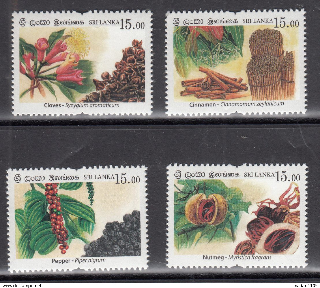 SRI LANKA,   2019,  Spices Of Sri Lanka, Set 4 V, MNH, (**) - Sri Lanka (Ceilán) (1948-...)