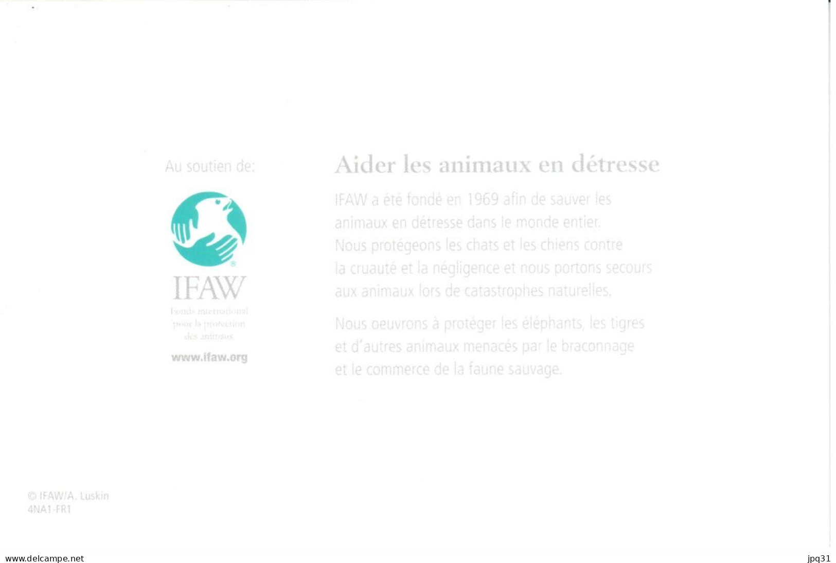 Carte Double IFAW Aider Les Animaux En Détresse - Bébé Phoque - Ref 4NA1-FR1 - Sonstige & Ohne Zuordnung