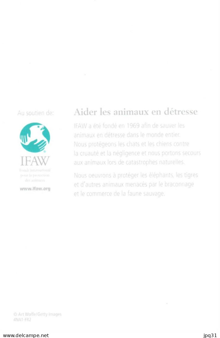 Carte Double IFAW Aider Les Animaux En Détresse - éléphante Et Son éléphanteau - Ref 4NA1-FR2 - Elefanti